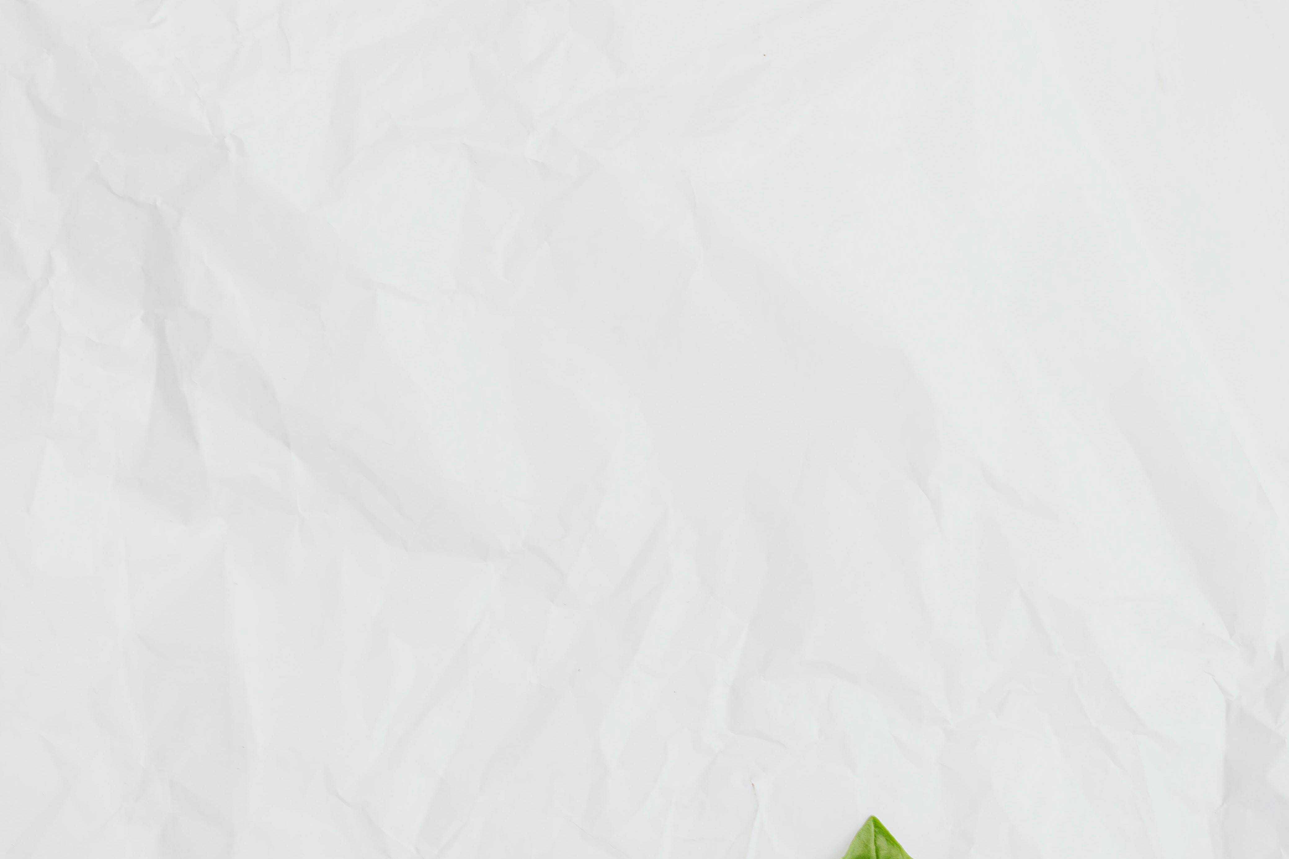 bay leaves in kitchen